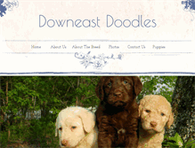 Tablet Screenshot of downeastdoodles.com